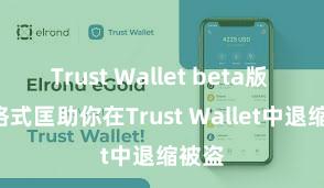 Trust Wallet beta版 5个格式匡助你在Trust Wallet中退缩被盗