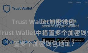 Trust Wallet加密钱包 如安在Trust Wallet中措置多个加密钱包地址？