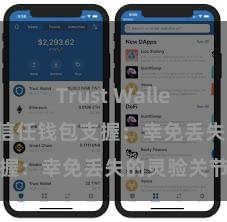 Trust Wallet钱包创建 信任钱包支握：幸免丢失的灵验关节
